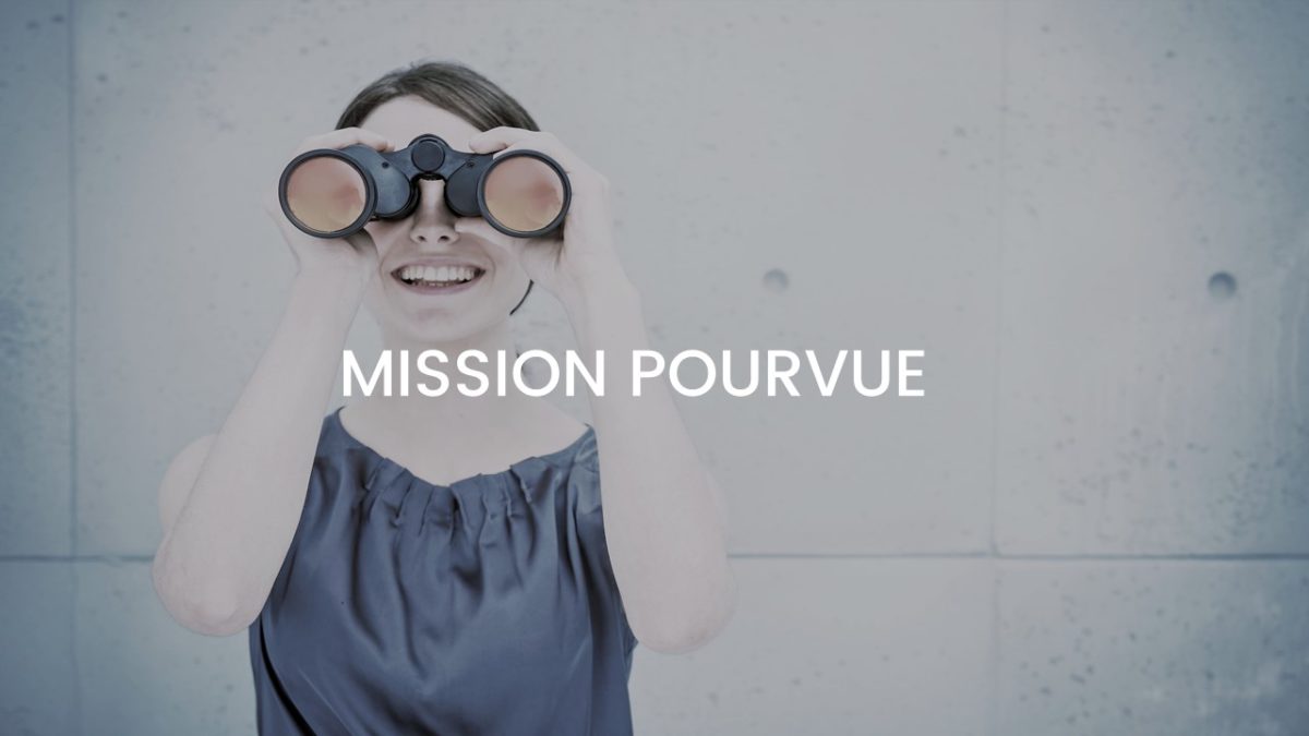 Offre de mission - Consultant - Auditeur – Automobile