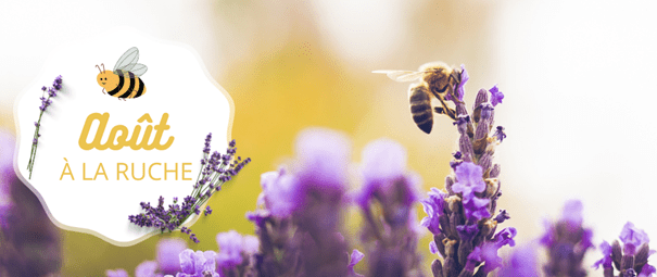 La ruche et les abeilles 🐝 Mois aprés mois , découvrez la vie de nos petites protégées